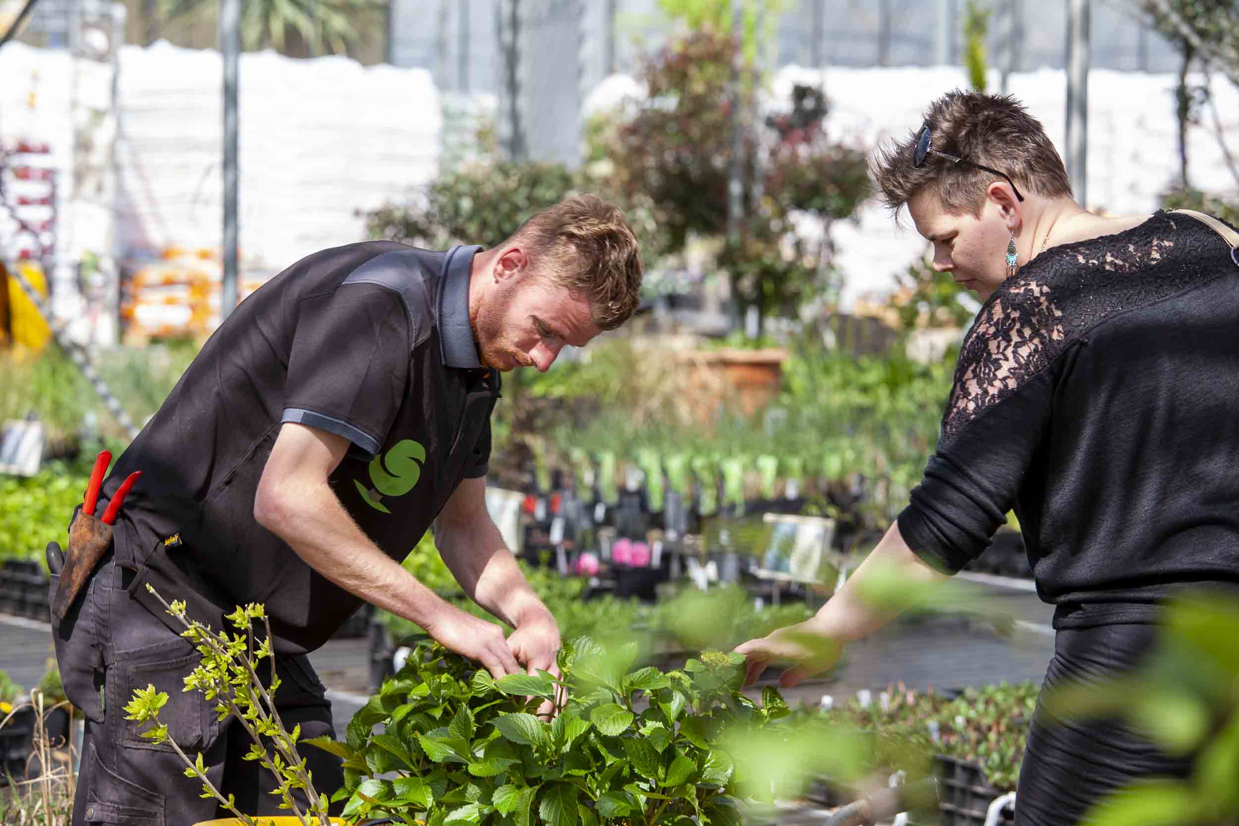 Vacature verkoopmedewerker groen
