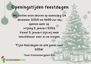 Openingstijden kerst 2025